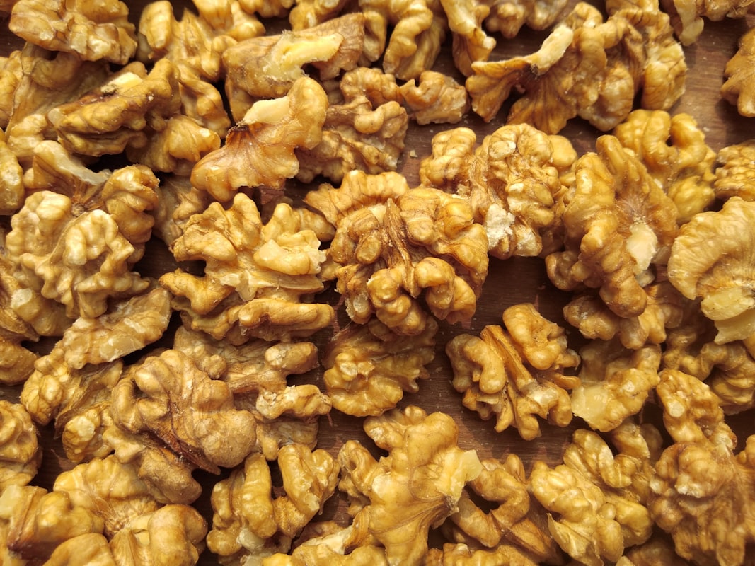 Brain nutrition research